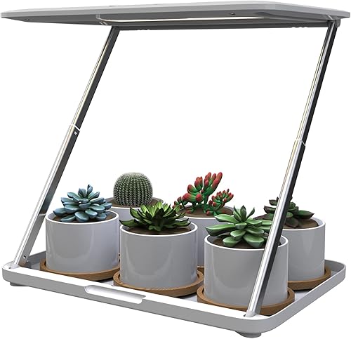 iGrowtek Kit de cultivo de suculentas para interiores con luz LED y jardineras