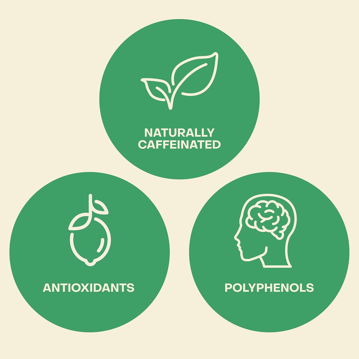 Saint James Iced Tea - Organic Green Tea - Non GMO, Gluten Free, Low Calorie & Low Sugar - Original Green Tea, 12 Pack (16 fl oz each) - Image 5