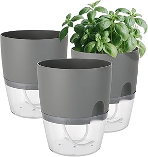 Lot de 3 pots pour plantes aromatiques de cuisine pour rebord de fenêtre, auto-irrigation, pour cuisine, 18,2 x 11 x 15,3 cm, pour herbes aromatiques (gris)