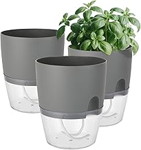 Windfromort Set di vasi per erbe aromatiche da cucina, autoirrigante, set da cucina, balcone, vaso in plastica con sistema di irrigazione per piante fresche da cucina, davanzale e camera da letto