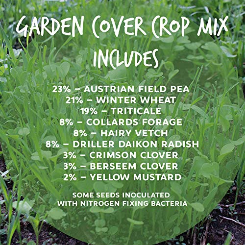 Forage Crop Seed Blends For Cattle Feed Temperate Climates