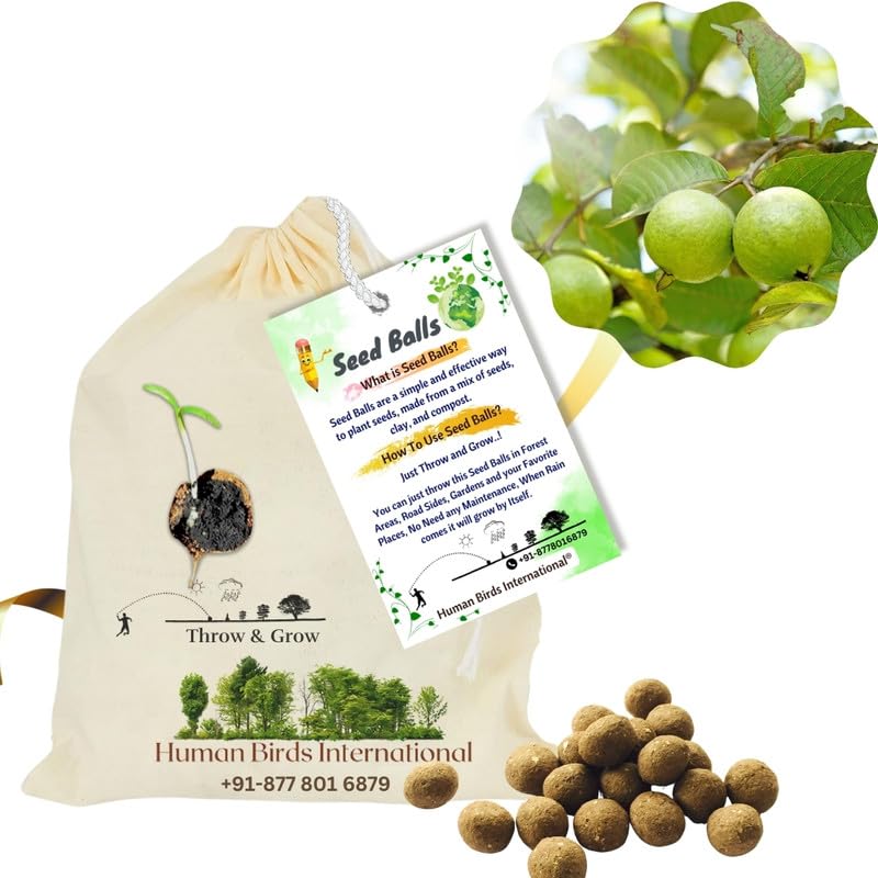 Human Birds International® - Seed Balls Pack of (1000) - (Guava, Psidium, Koyya, Amrood, Seebe, Jaama), Just Throw and Grow, Return Gift, Earth Balls, Seed Bombs (B0DBDNRD1F) Amazon Price History, Amazon Price Tracker