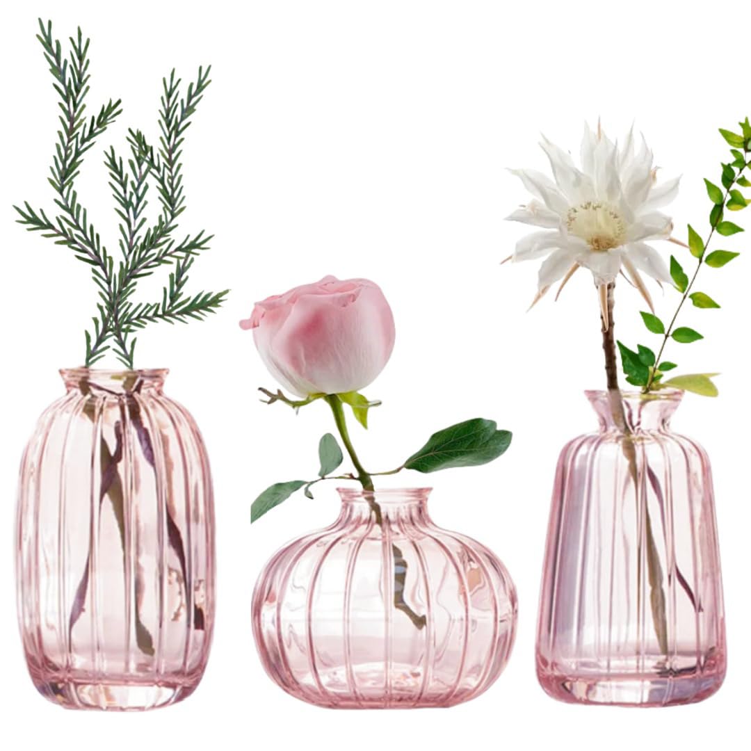 MEETOZ Glass Bud Vase Set of 3- Small Vases for Flowers Home Table Flower Decor, for Office or Wedding Events