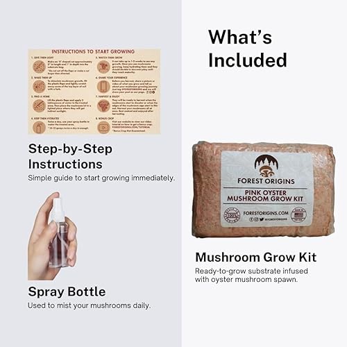 Miniatura 5 de Kit de cultivo de hongos ostra rosa de Forest Origins, fácil para principiantes y de uso sencillo, crece en 10 días | Hecho a mano en California,