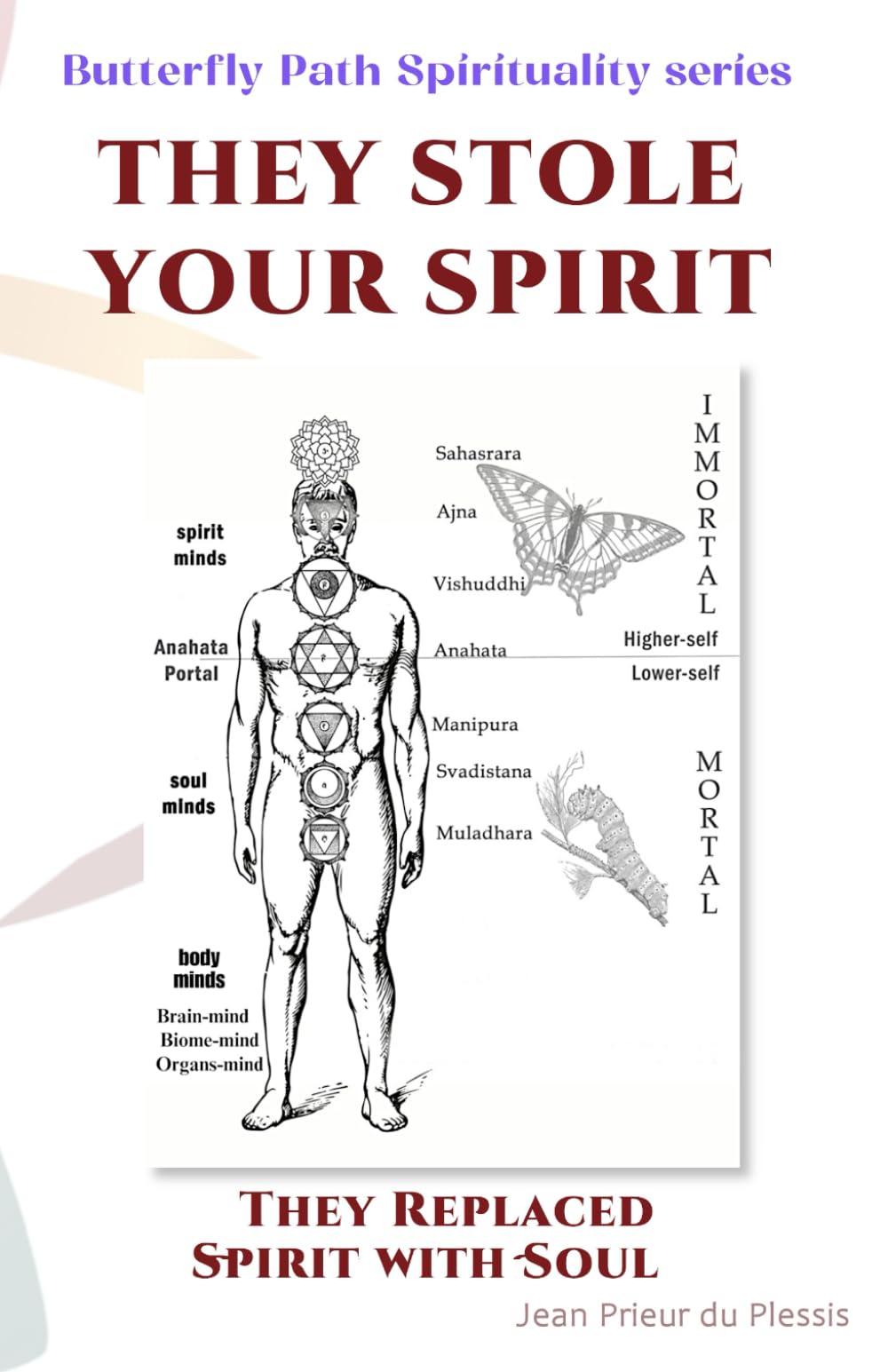 They Stole Your Spirit: They Replaced Spirit with Soul (Butterfly Path Spirituality)