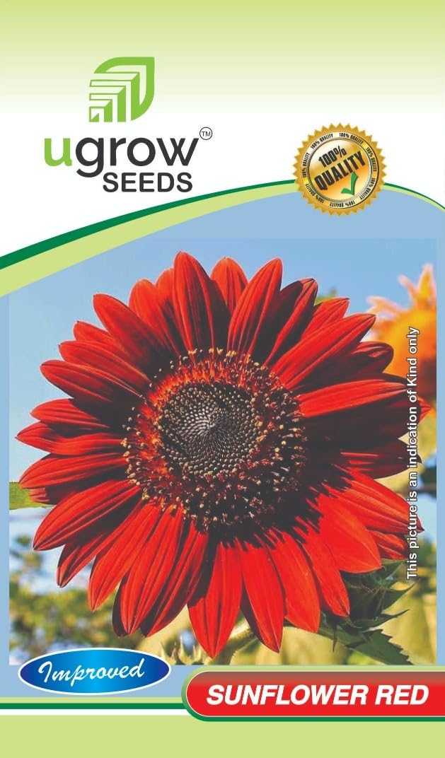 See full amazon price history chart for U Grow Red Sunflower Seeds (30 Seeds/Packet) Flower Seeds U Grow Red Sunflower Seeds (30 Seeds/Packet) Flower Seeds (B09TH1ZQWW) Amazon Price History, Amazon Price Tracker
