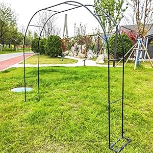 Rozenboog, Metalen Rozenboog, Rozenboog met Punt, Weerbestendig, van Metaal, Boog van Massief ​metaal als Klimhulp