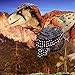 Beasts of The Mesozoic: Dromaeosaurus Albertensis Fan's Choice 2nd Release - 1/6th Scale Dinosaur Action Figure - 12