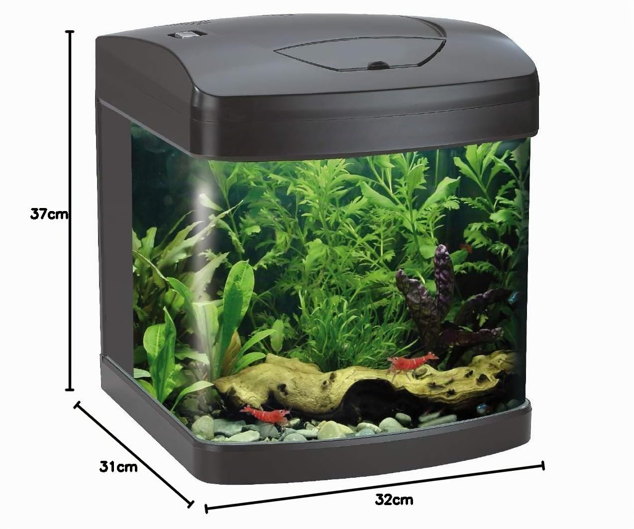 WAVE Xcube Aquarium avec Lampe LED pour Aquariophilie Noir 26 L