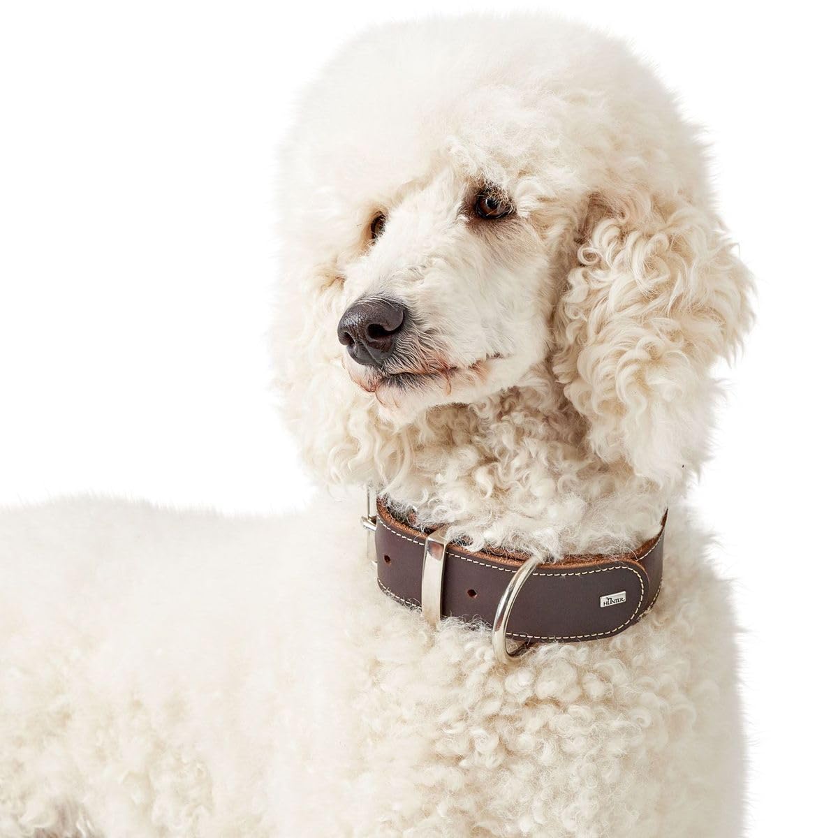 HUNTER Collier pour Chien Aalborg Special, Couleur : Brun foncé, Cuir Fortement graissé, Robuste & résistant, surpiqûres contrastées, idéal pour Le Sport canin, Made in Germany, Taille : 65