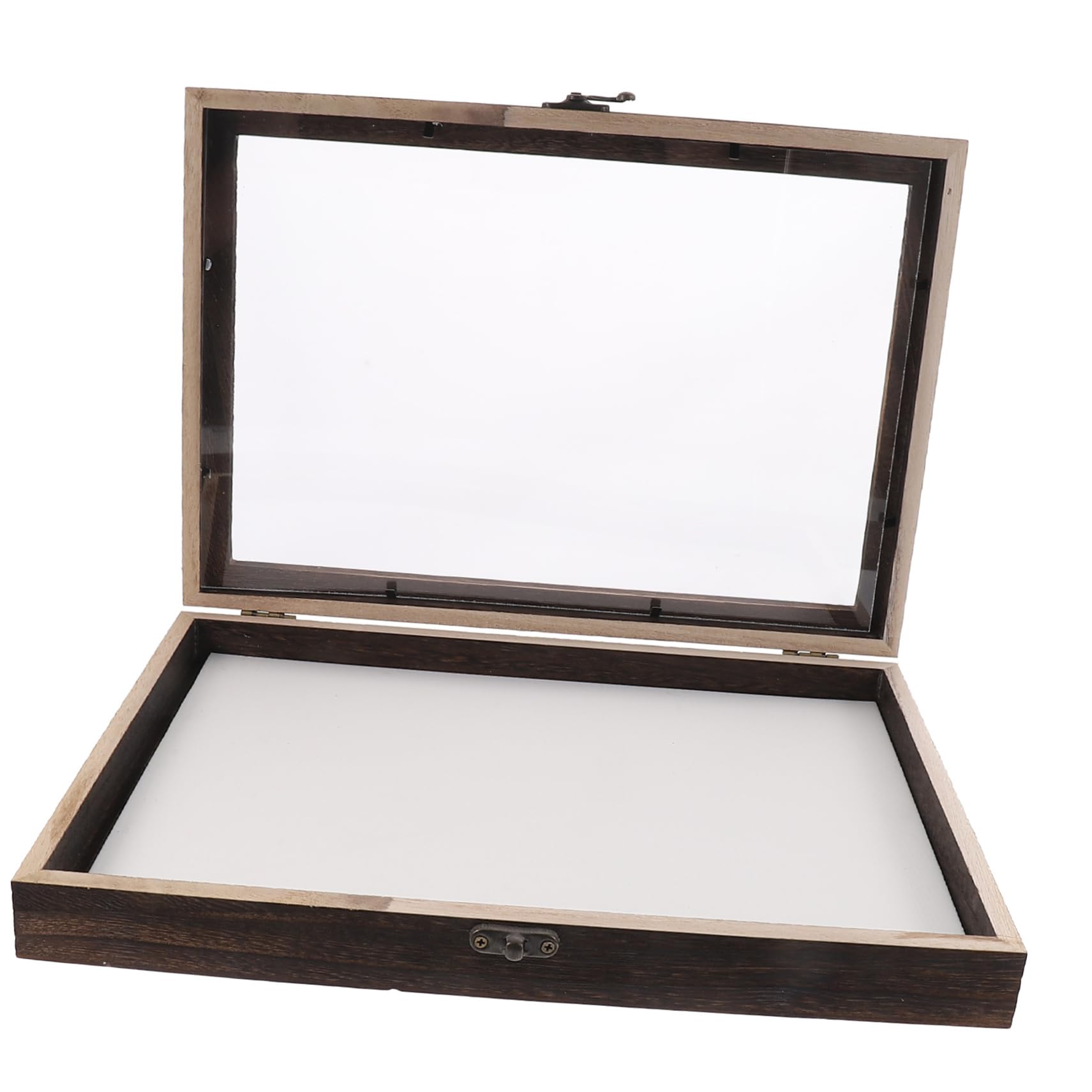 Garneck Scatola di Legno per Insetti con Coperchio Trasparente, Teca Entomologica per Farfalle, Protezione Dalla Polvere e Decorazione da Scrivania Stile Casuale