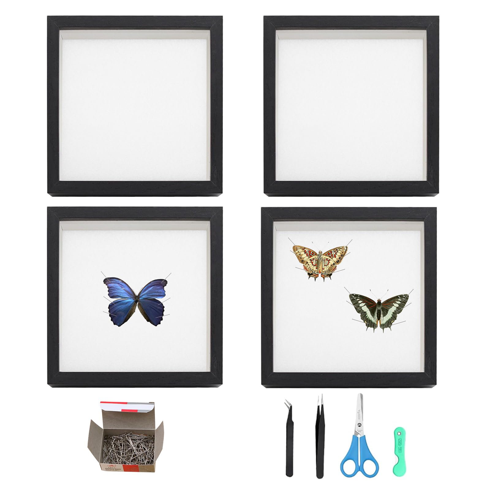 4 PCS Insect Display Case Wall Mount, Bug Display Case Collection Box for Butterfly Specimen with Clear Acrylic Top 4 PCS Eva Foam Pinning Board 1 Box of Pins 2 Tweezers 1 Knife 1 Scissors