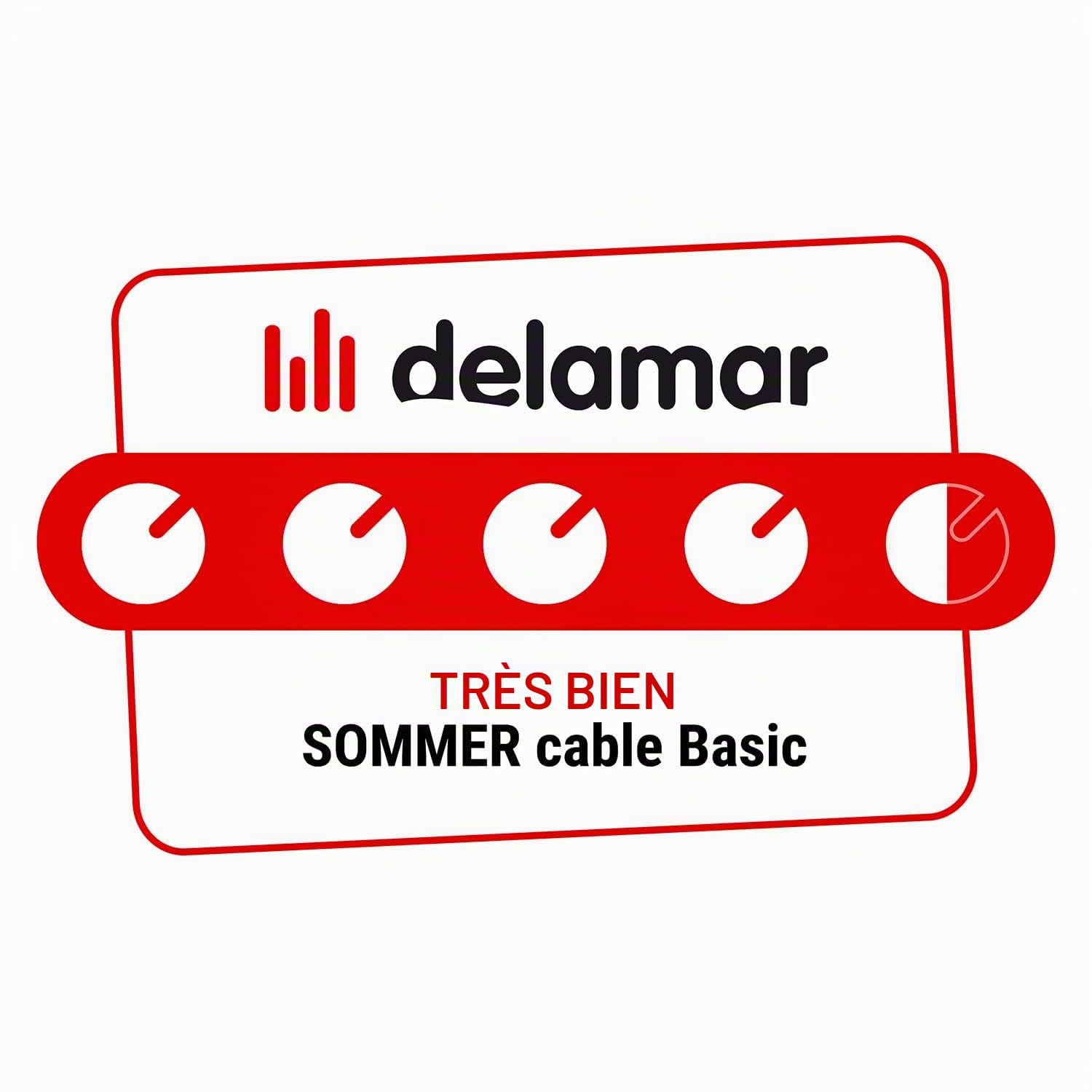 Sommer Cable HBA-3SM2-0300 Câble adaptateur Y 3 m - Câble d'Insertion