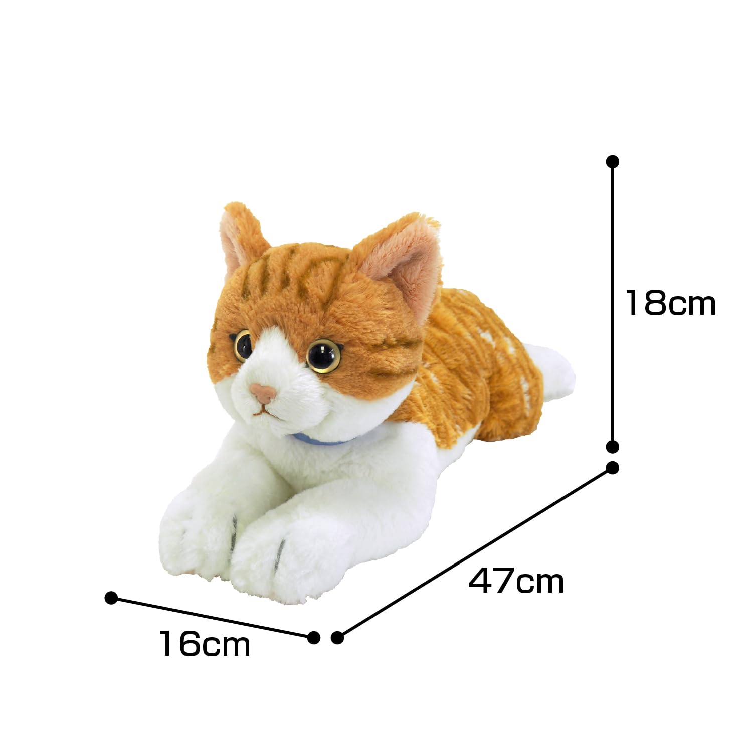 Amazon.co.jp: サンレモン ひざねこ チャシロ M 16×47×18cm ぬいぐるみ