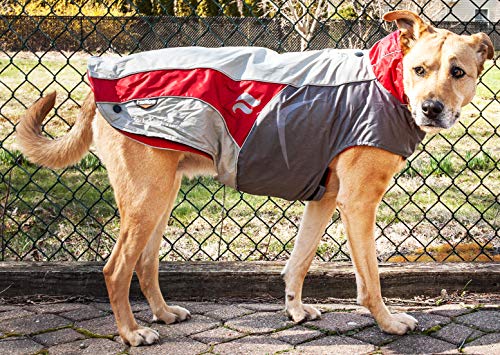 Doghelios 'Lotus-Rusher' Waterproof 2-In-1 Pet Dog Jacket Coat With Removable Polar Fleece Lining W/ Blackshark Technology, Medium, Red, Charcoal Grey, Light Grey #TOP3