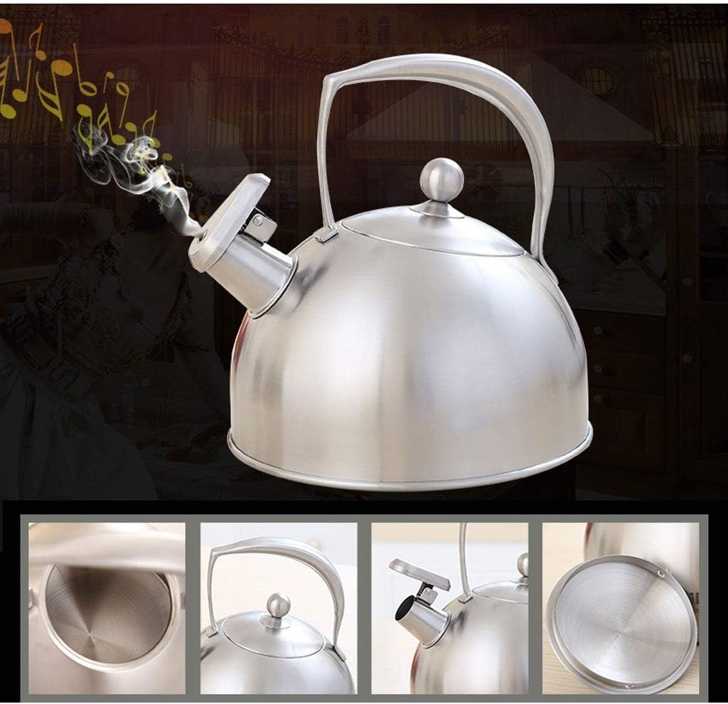 Stove-top Stainless Steel Hot Water Kettle with Ergonomic Handle Whistling