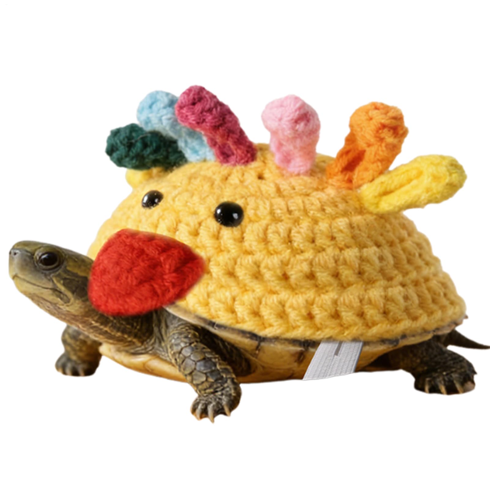 Tortoise Outfit,Knitted Clothing for Tortoise | Breathable Turtle Clothes - for Terrarium Aquarium Enclosure Home Winter Daily Outdoor