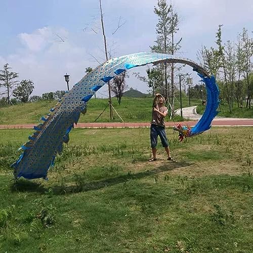 Danse de dragon de soie en plein air pour animer vos défilés du Nouvel An - 2
