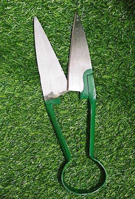 Aarav Heavy Duty Garden Tool Secateurs/Grass Cutter Grass Shear, Pruner Hedge Shear with Gloves 1
