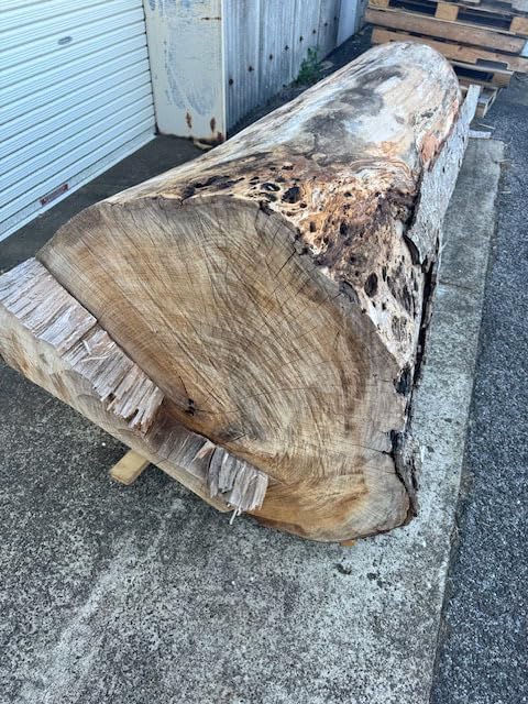 5-228 Wood Sho) Namewood, Keyaki, Super Huge Log, Raw Wood, 36.6 inches (930 mm) (Length 74.8 inches (1900 mm) x End Opening 36.6 inches (930 mm)