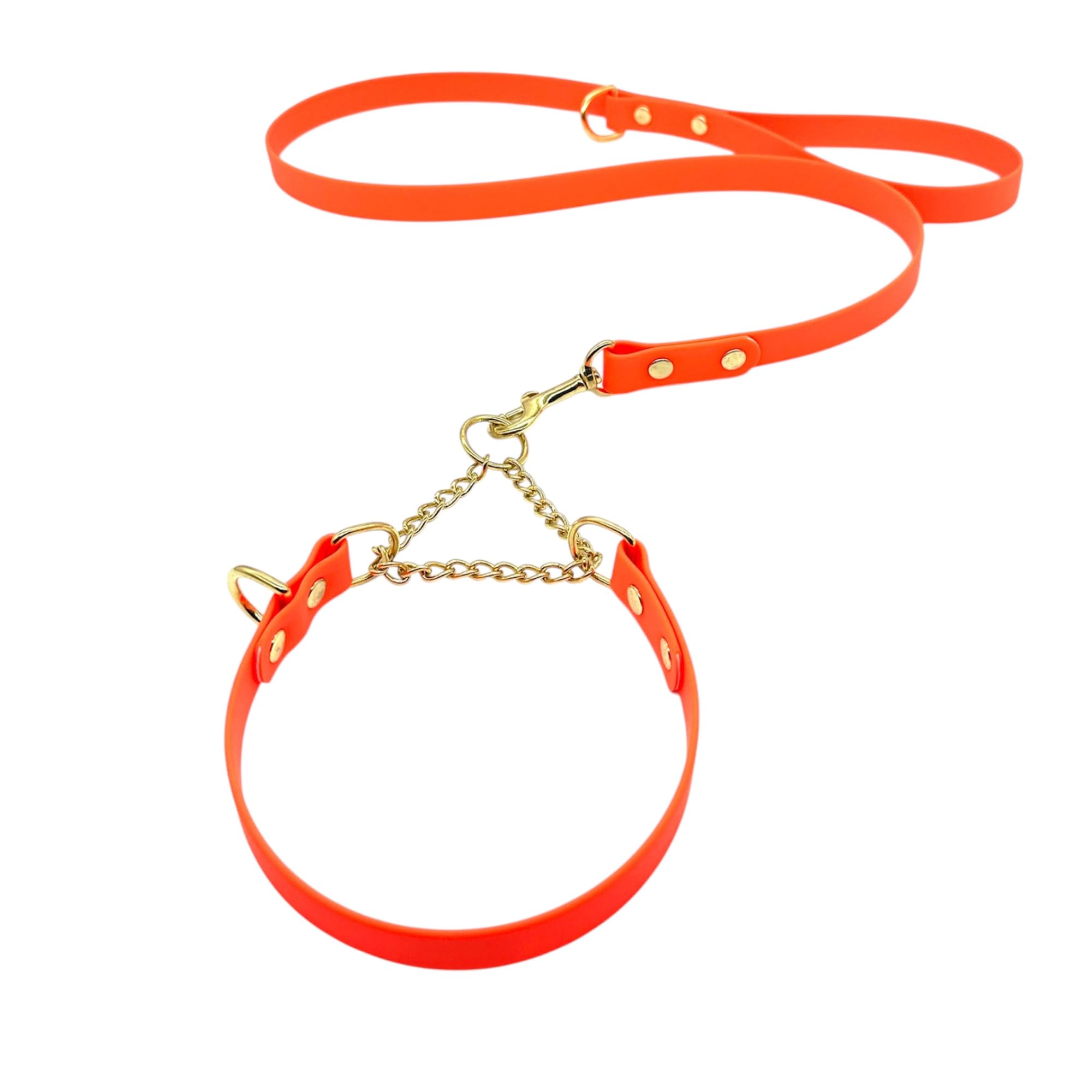 L&J Pets UK Martingale Dog Collar & Lead Set | Waterproof & Odour Proof | BioThane Webbing | Solid Brass Chain | Made in UK (Orange, M)