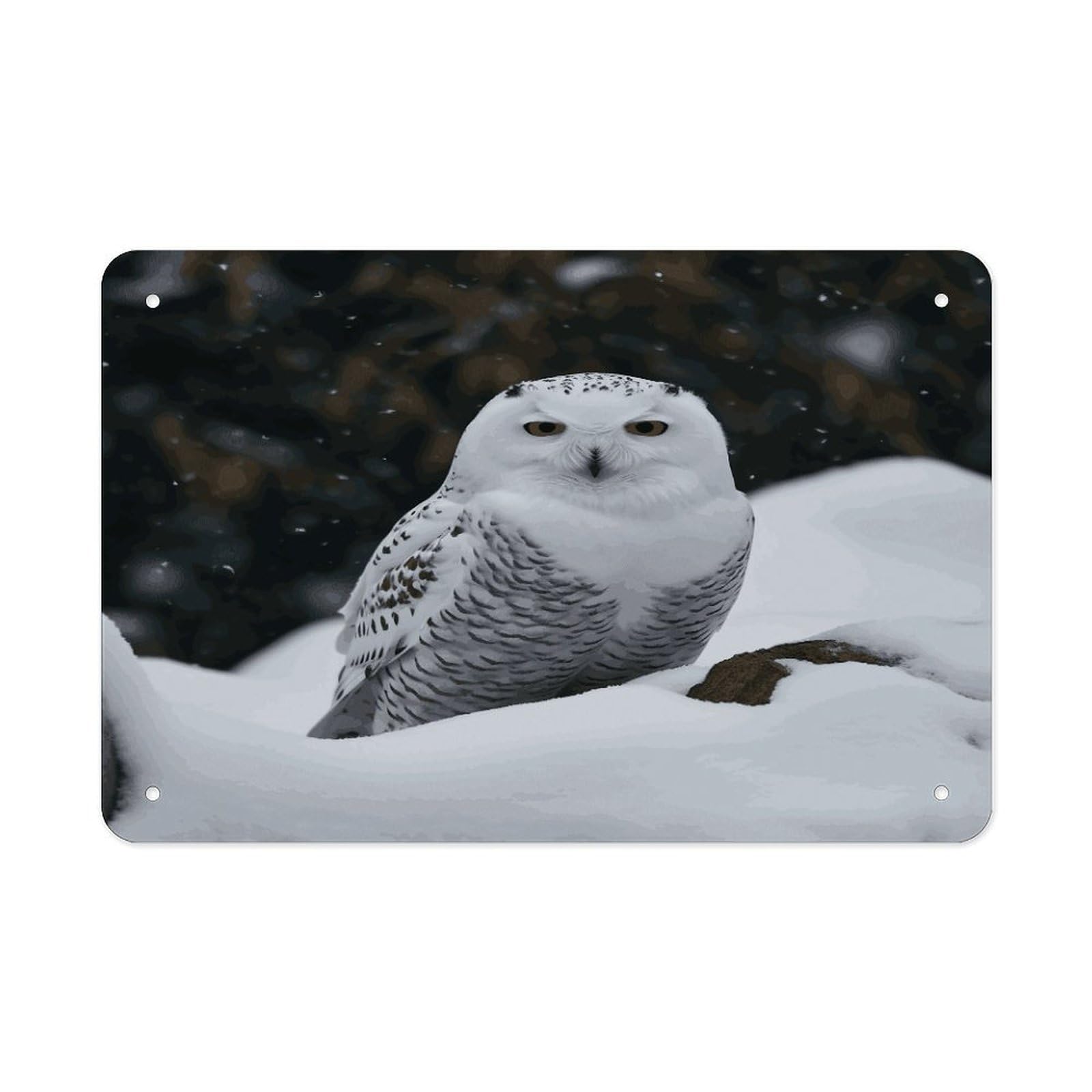 LDGSUPH Snow Owl Metal Tin Sign Wall Art Prints Folded Edge Iron Sheet Painting with Holes for Wall Prints Decorative Picture Metal Signboard Decor Painting Wall Decor