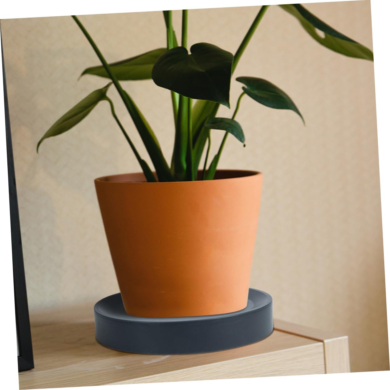 ORFOFE Plant Tray Wheels Movable Planter Holder for Potted Plants Heightened Flowerpot Stand Tray Easy to Clean for Use