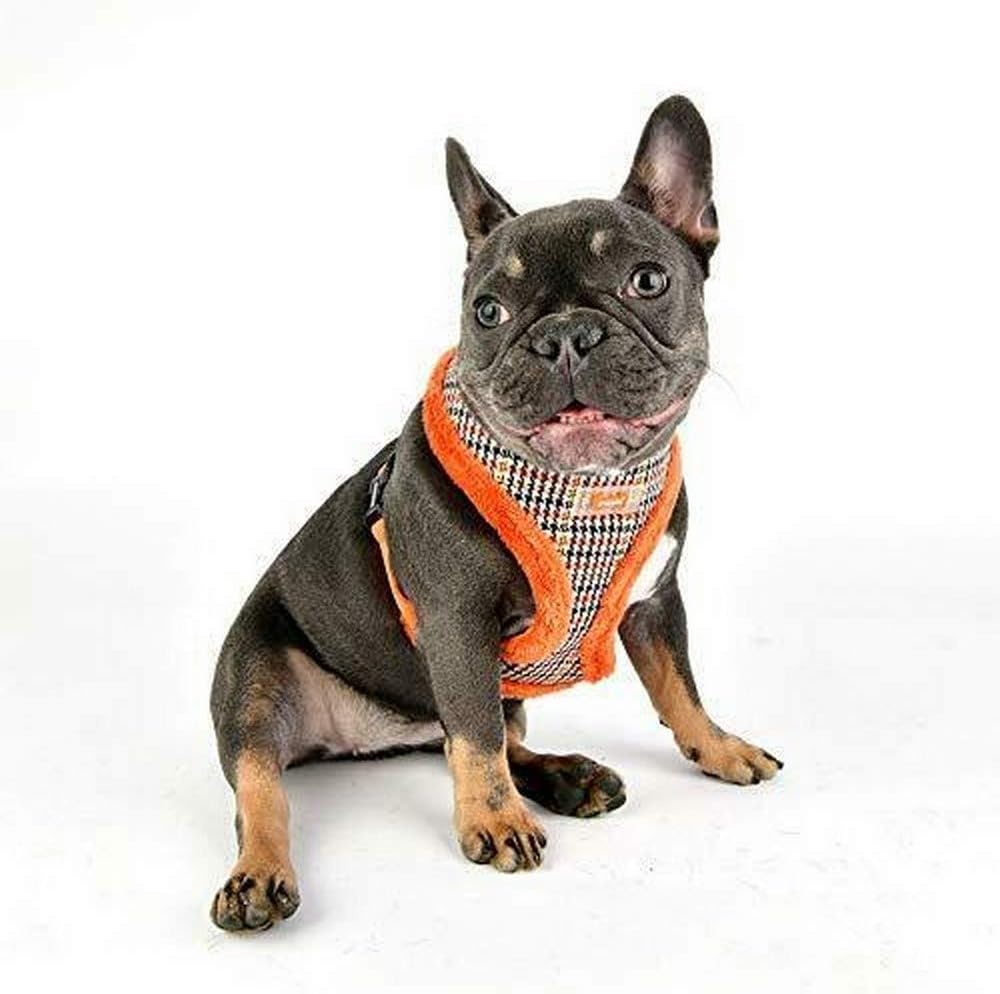 Puppia Auden Harness A - Orange - L