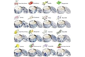 Wholesale Candles Bulk for Resale: 16-Pack Soy Wax Aromatherapy Tin Candles