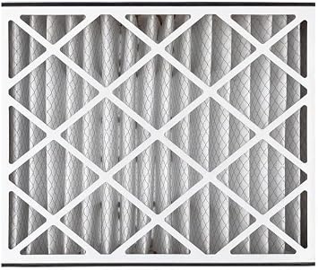 Trion Air Bear 266649-102 - 20 x 25 x 5 MERV 13 Pleated Air Filter