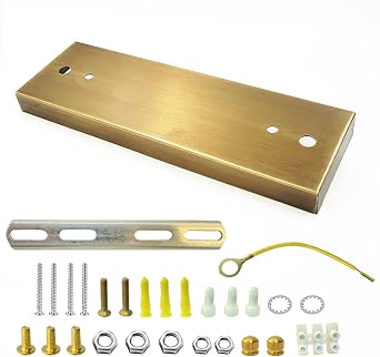 Brushed Brass Gold Ceiling Light Plate 9.8" Light Fixtures Canopy Kit with Mounting Hardware for Chandelier Pendant Light Fixtures
