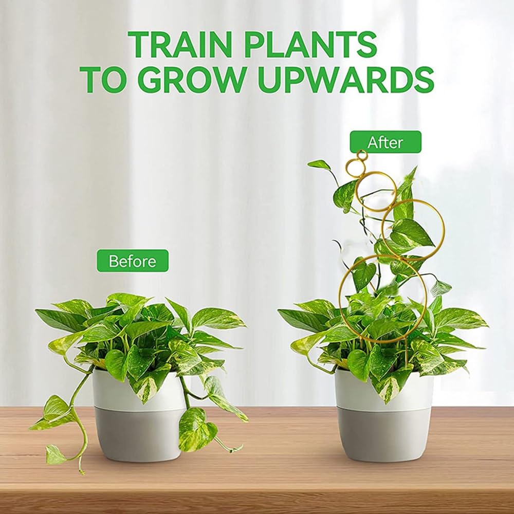 Enrejado De Metal Pequeño De 4 Uds para Plantas En Maceta, Enrejado De Plantas De Interior, Enrejado De Jardín Mini para Plantas En Maceta, Hoya,Pothos,Flower,Monstera(Color:Green)