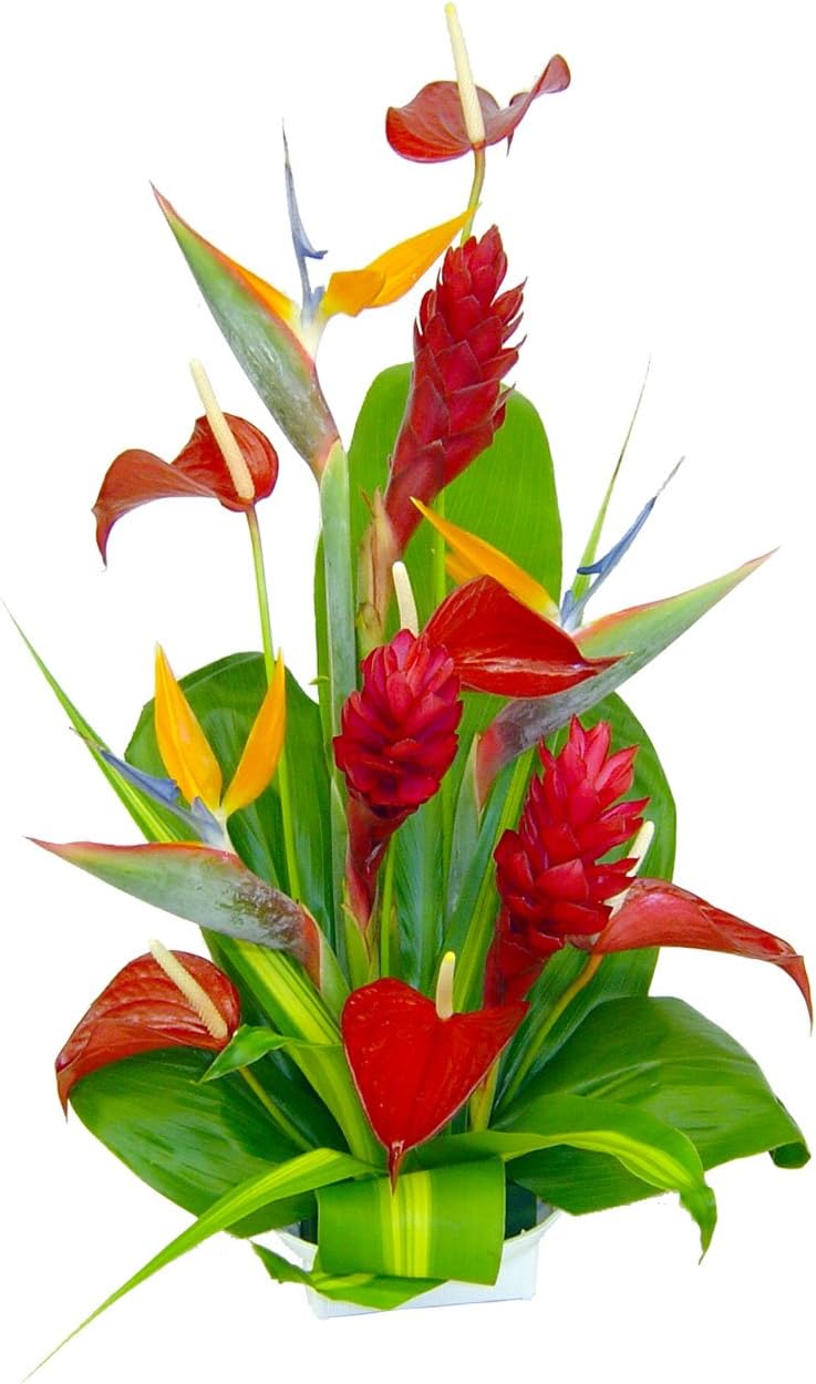 Hana Tropical Hawaiian Flowers