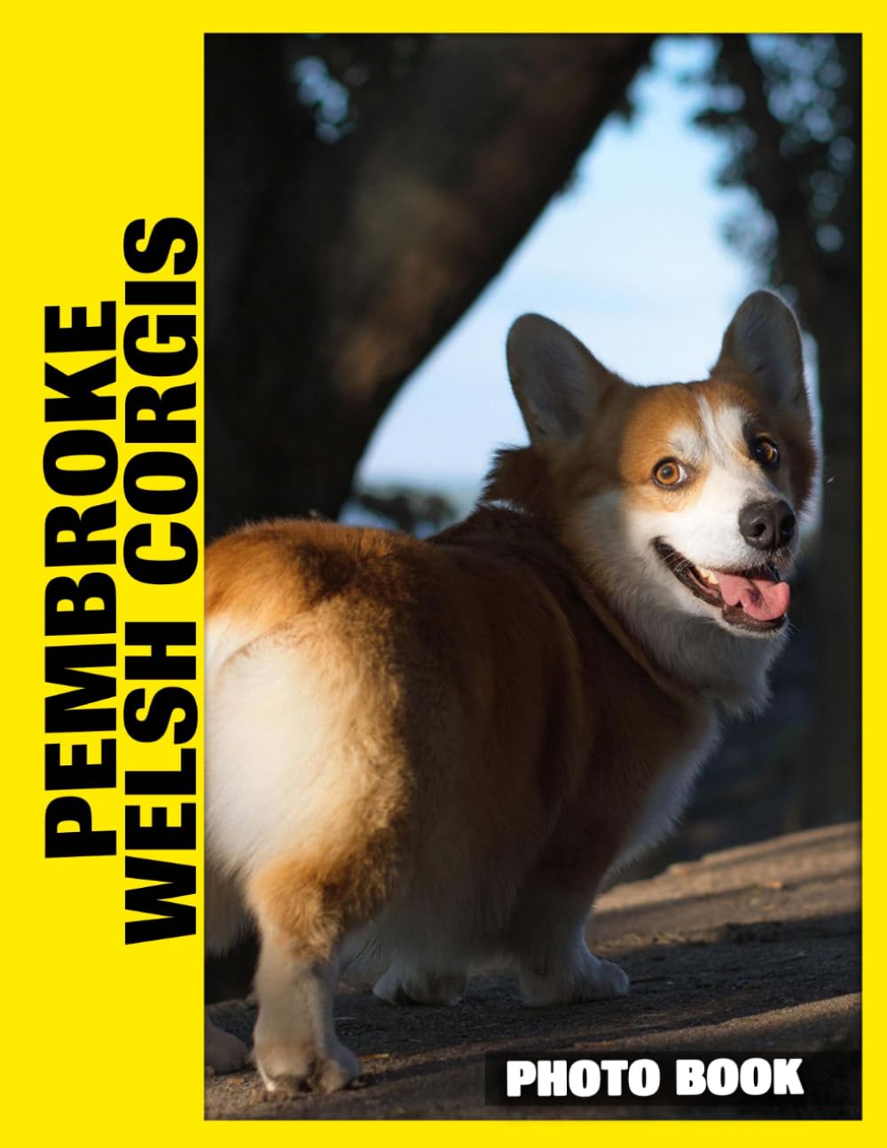 Pembroke Welsh Corgis Photo Book: Adorable Fluffy Friends Captured In Charming Photography With Playful Expressions And Loyal Companion Moments
