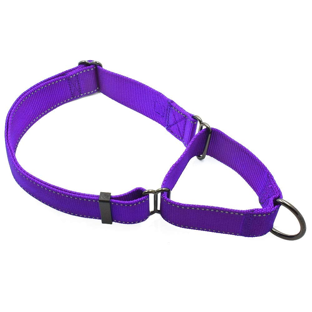 Max and Neo Nylon Extra Large Dog Martingale Collar - We Donate to a Dog Rescue for Every Collar Sold (Purple)