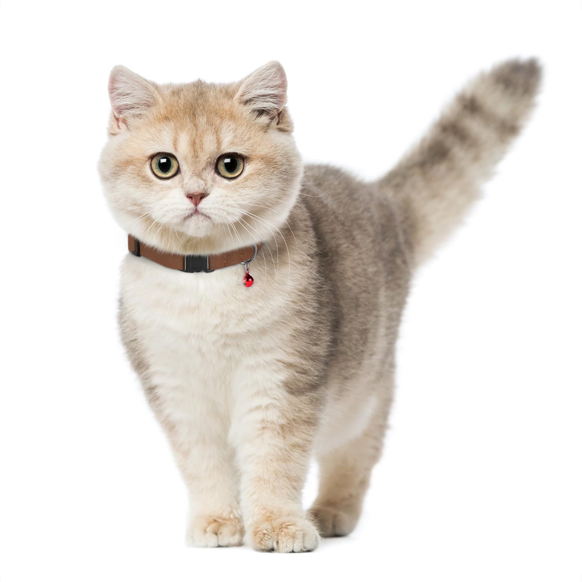 Breakaway Katzenhalsband Aus Echtem Leder – Sicherheitsverschluss, Verstellbar Mit Glöckchen In 13 Farben