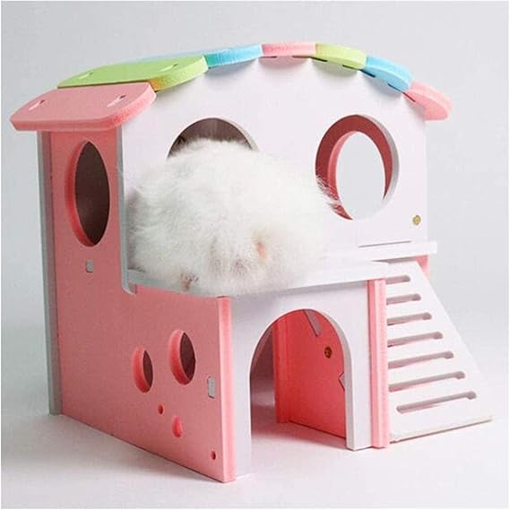 hamster terrarium amazon