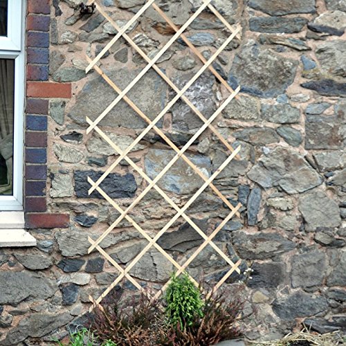 Garden Mile 6ft X 3ft Heavy Duty Garden Trellis For Climbing Plants Wooden Trellis Panels Pine Large Extendable Climbing Plant Support Ideal For Sweet Peas Clematis Climber Plant Support