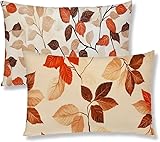 Photo Gallery autunno federe cuscino letto 50x60 set di 2 cuscini per divano grandi rettangolari federa cuscino foglia stampa a dopio lato morbido durevole velluto copricuscini divano per camera da letto s1-530 Photo Gallery autunno federe cuscino letto 50x60 set di 2 cuscini per divano grandi rettangolari federa cuscino foglia stampa a dopio lato morbido durevole velluto copricuscini divano per camera da letto s1-530