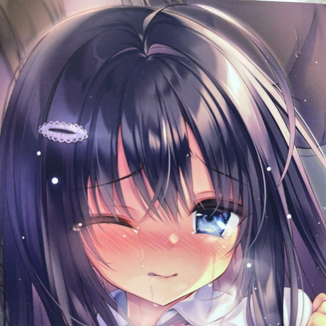 Amazon.co.jp: るび様 本 るび様を崇める会 : おもちゃ