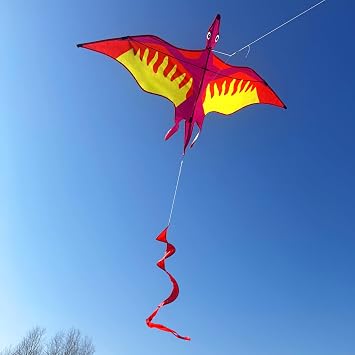 Touch the sky 2 Pack Dragon Kites for Kids and Adults, Easy to Fly, Exquisite Fabrics and Unique Structure Design, Excellent Outdoor Games and Activity Toys, Suitable for Beginners.