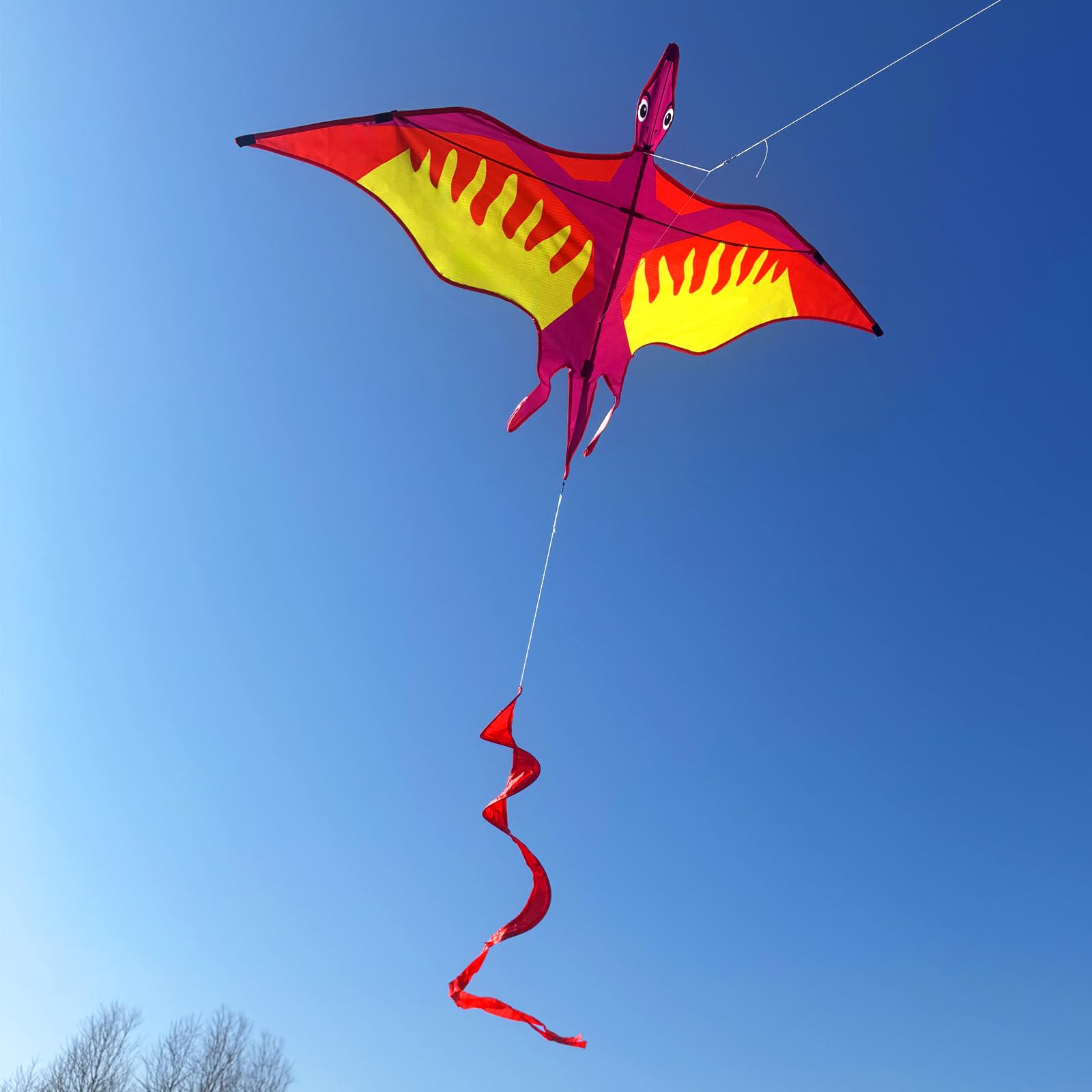 Touch the sky Lot de 2 Cerfs-Volants Dragon pour Enfants et Adultes, Facile à Voler, Tissu Exquis et Structure Unique, Idéal pour Les Jeux et Activités de Plein Air, Parfait pour Les Débutants.