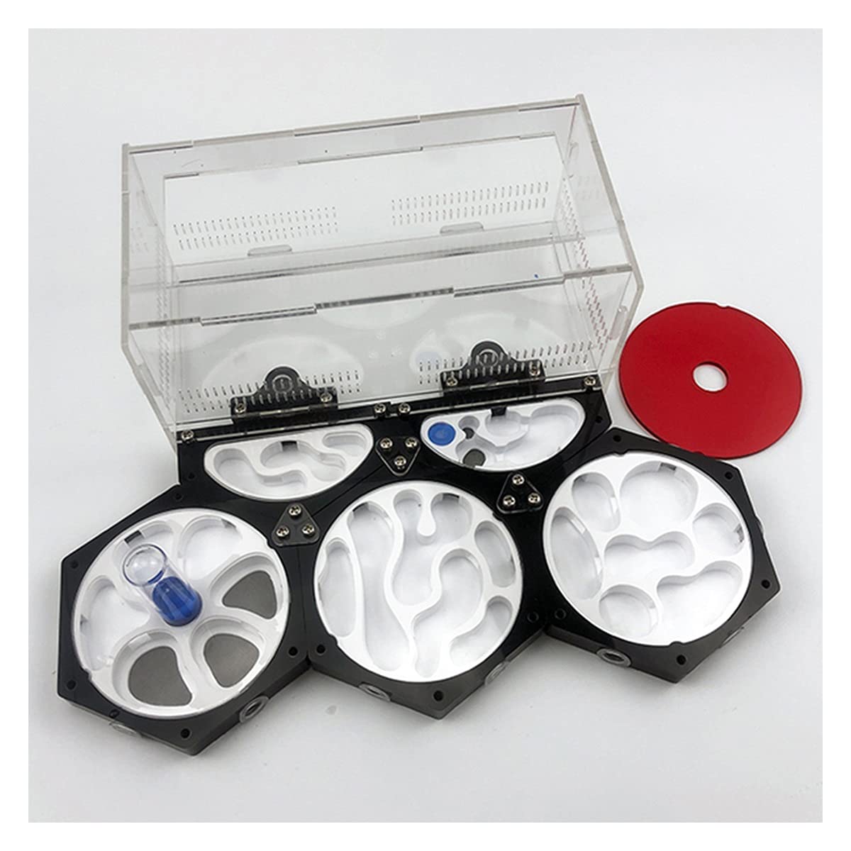 かすう工房 fu-a wargo 蟻 アリ アリの巣 リング Amazon.co.jp: アリの巣 アリの巣アリ飼育キット観察キット