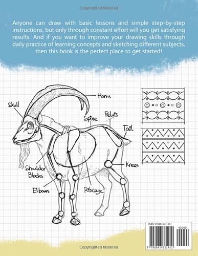 How To Draw: Better Every Day Step By Step Instructions On Drawing And Sketching Patterns, Plants, Objects, And More For Beginners, Experienced Artists #TOP1