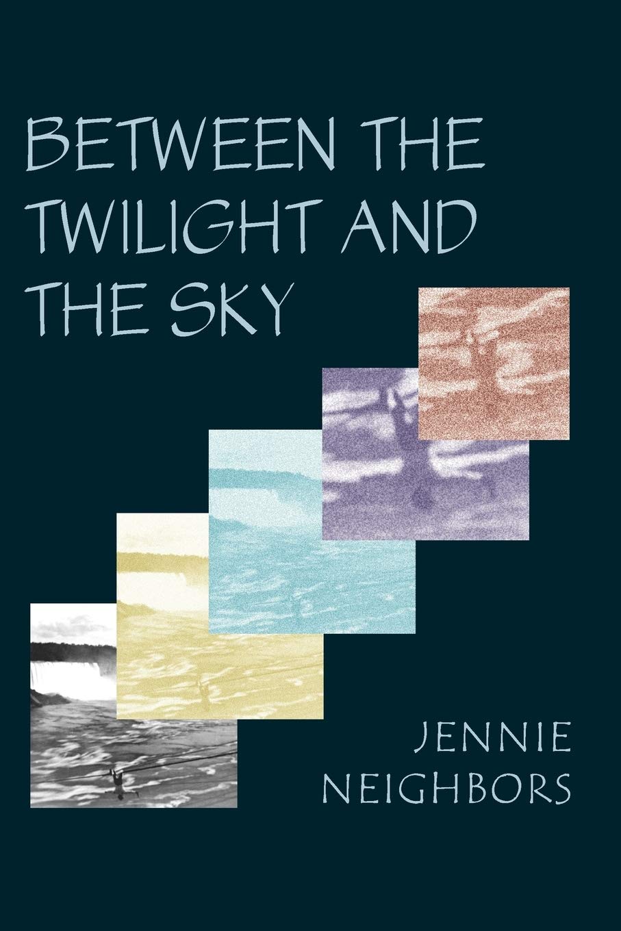 Between the Twilight and the Sky (Free Verse Editions)