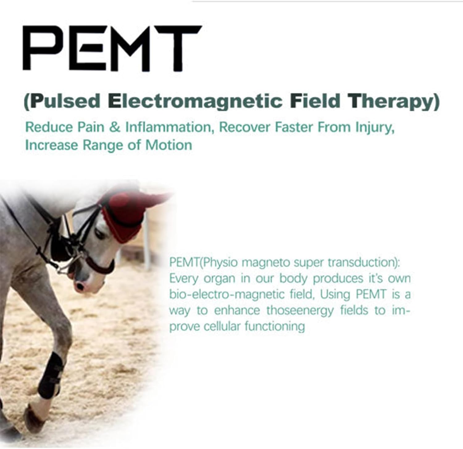 PEMF Therapy Devices for Horses, Portable PMST Loop Magnetic Therapy Machine PEMF Pulse Electromagnetic Rehab Equipment for Pain Relief Sports Recovery