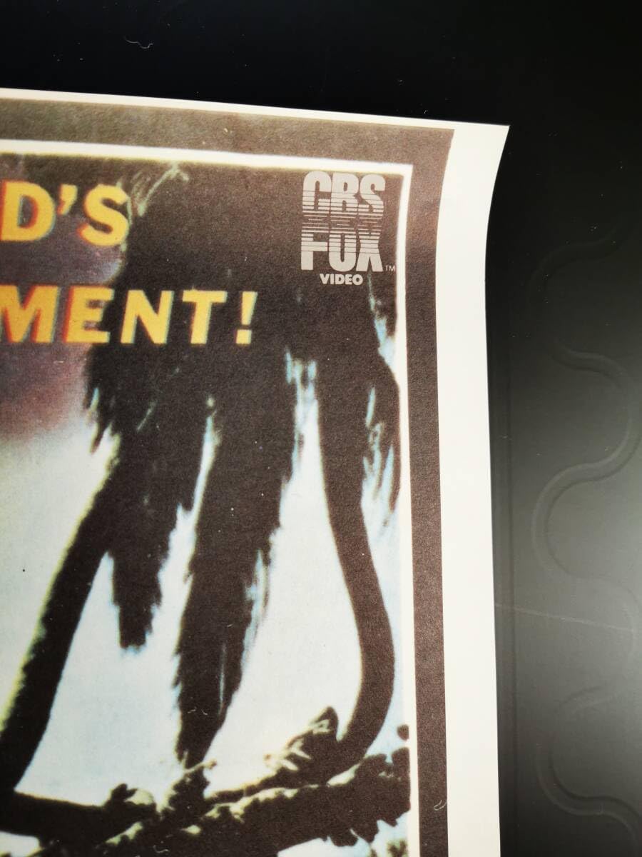 Amazon.co.jp: A2版 映画ポスター South Pacific 1958 film Posters/南