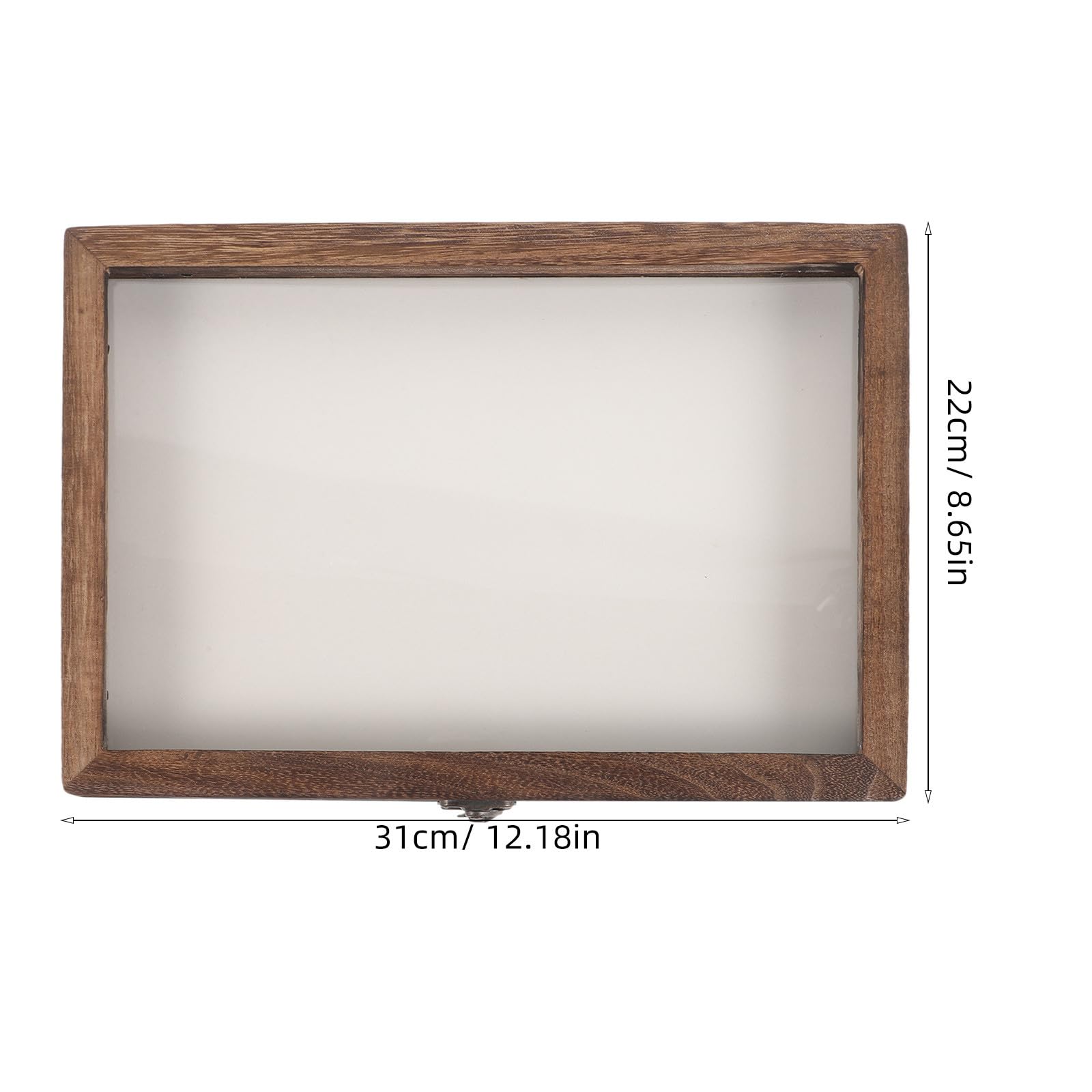 SEWACC Caja de Exhibición de Insectos Colgante de Madera Tapa Acrílica Transparente, Tamaño 31x22x4.5 Cm, Color Carbón, Almohadilla de Eva en Color Claro para Muestras, Estilo