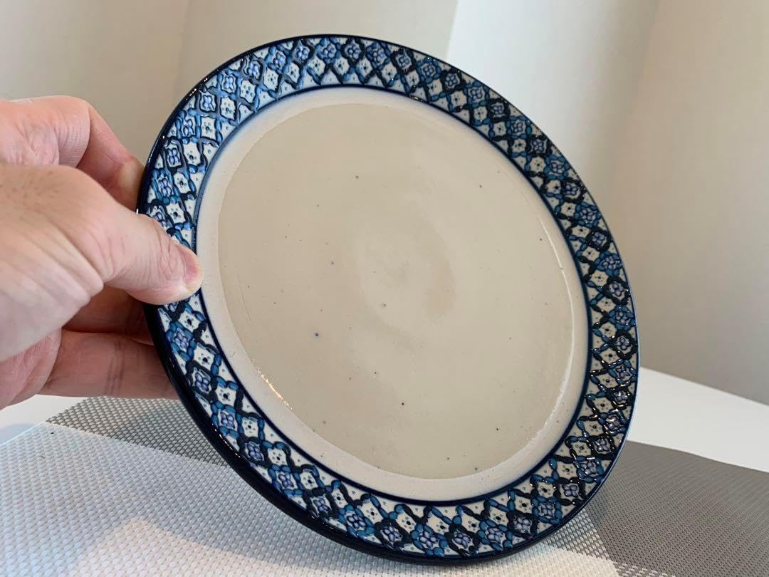 セルビン焼き Javier Servin メキシコ お皿 22cm BlueNavy セルビン