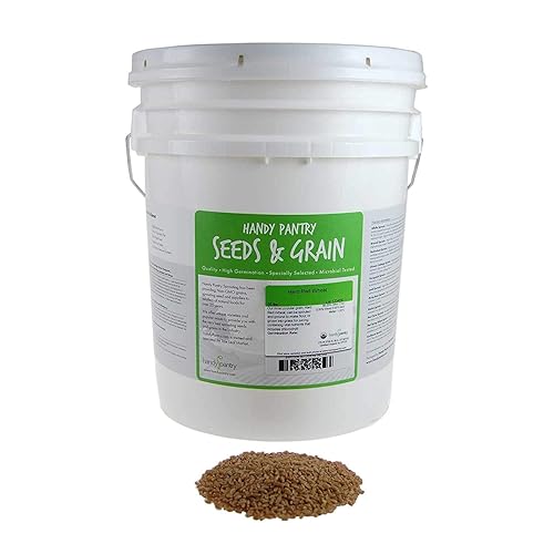 Semilla de trigo rojo duro orgánico: 35 libras - Marca Handy Pantry - Cultiva pasto de trigo, harina, grano y pan, almacenamiento de alimentos de